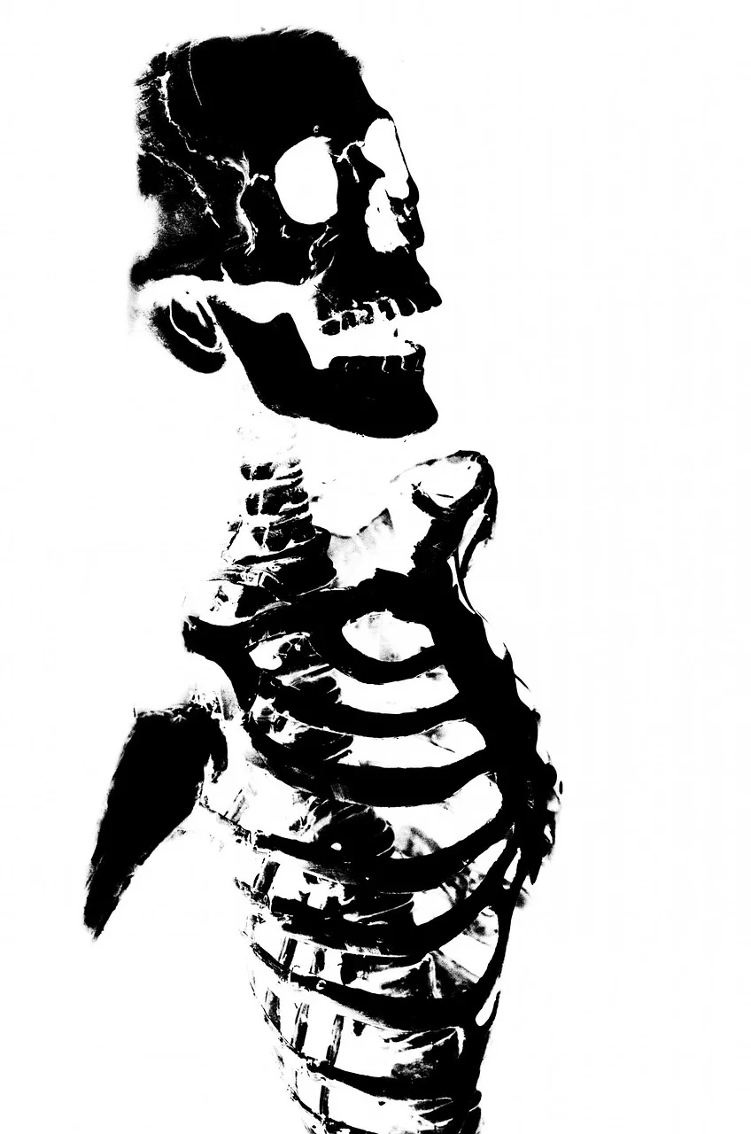 skeleton, skull, halloween, people