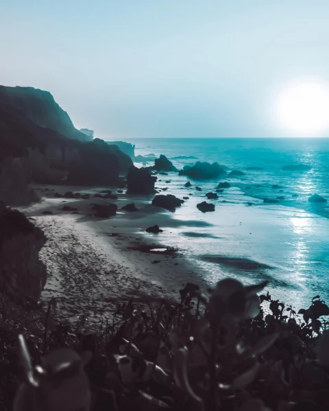 海滩,太阳,海洋,假期