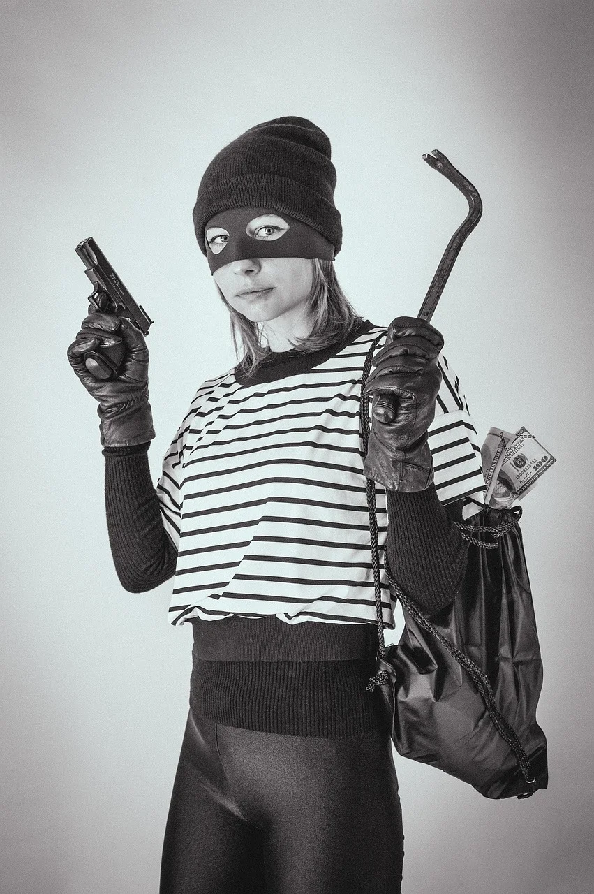 robber, thief, woman, robbery