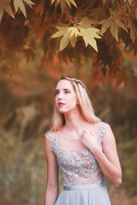 nature, outdoor, beautiful, autumn