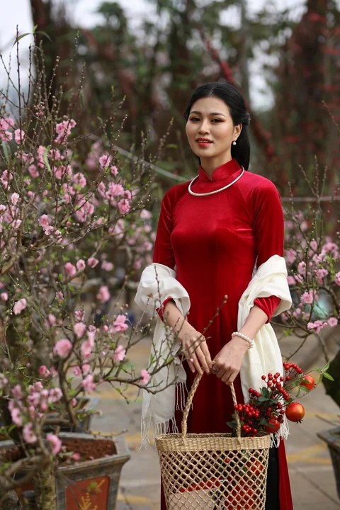 女性、美、自然、モデル