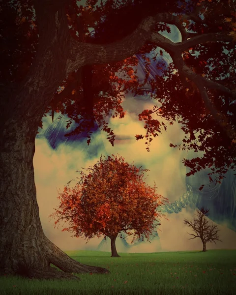 forest, surreal, fantasy, artistic