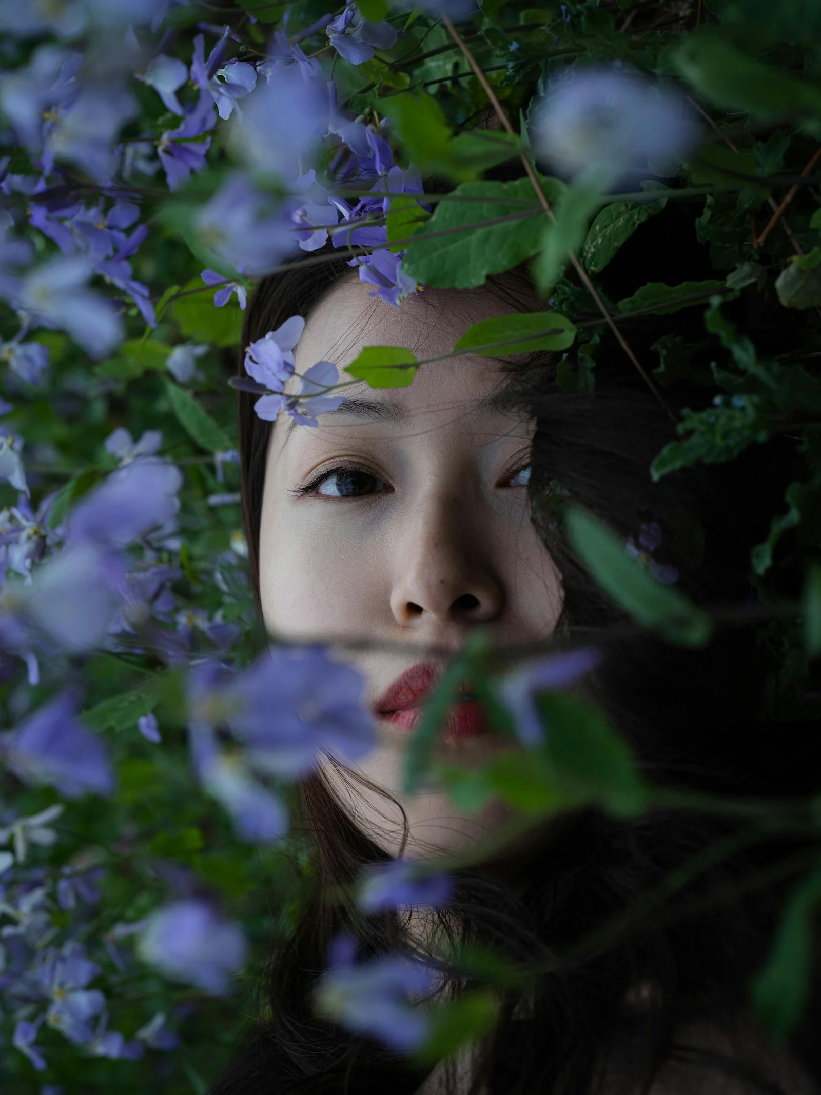 一个脸庞周围环绕着蓝色花朵的女人
