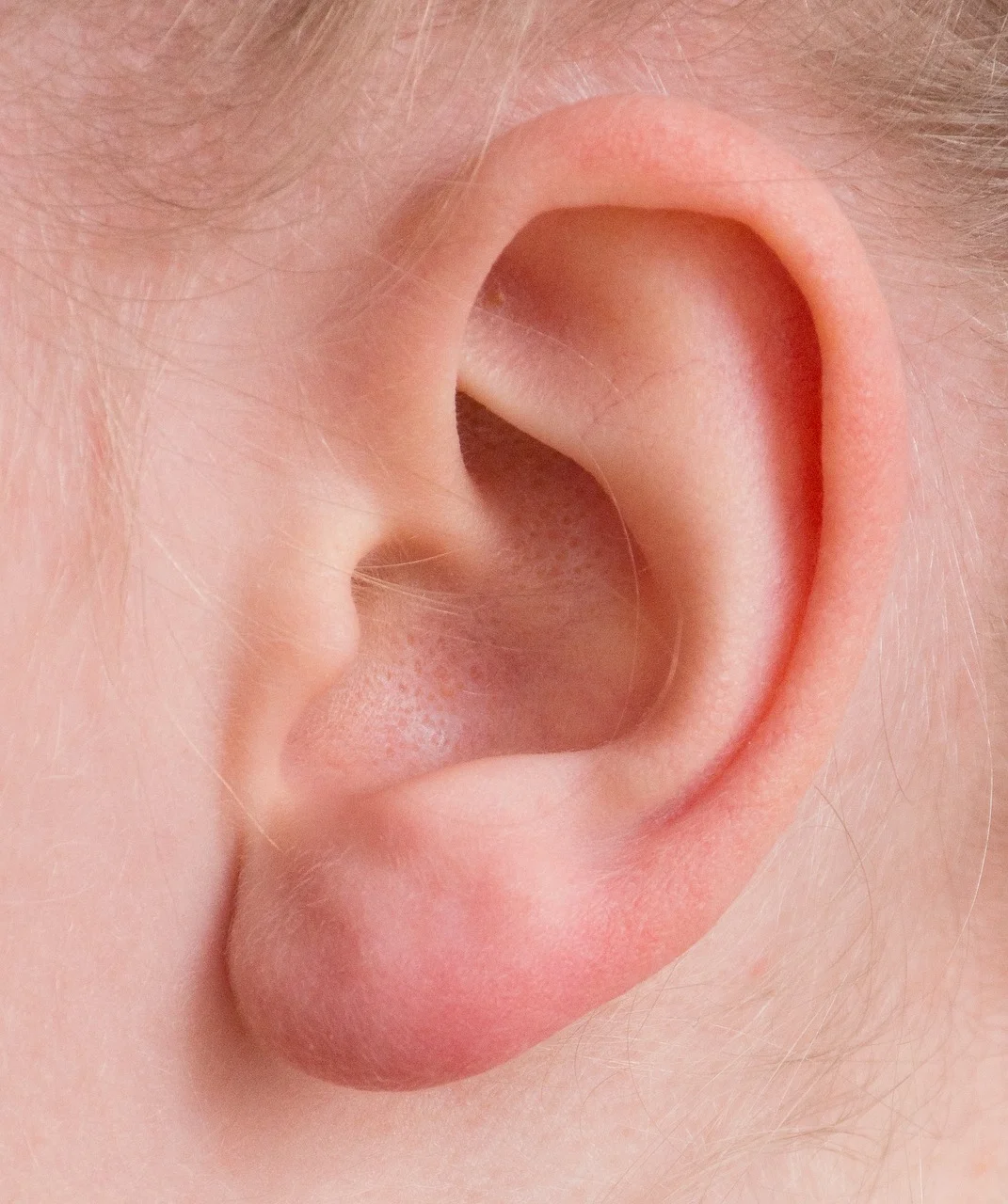 ear, auricle, listen, hearing