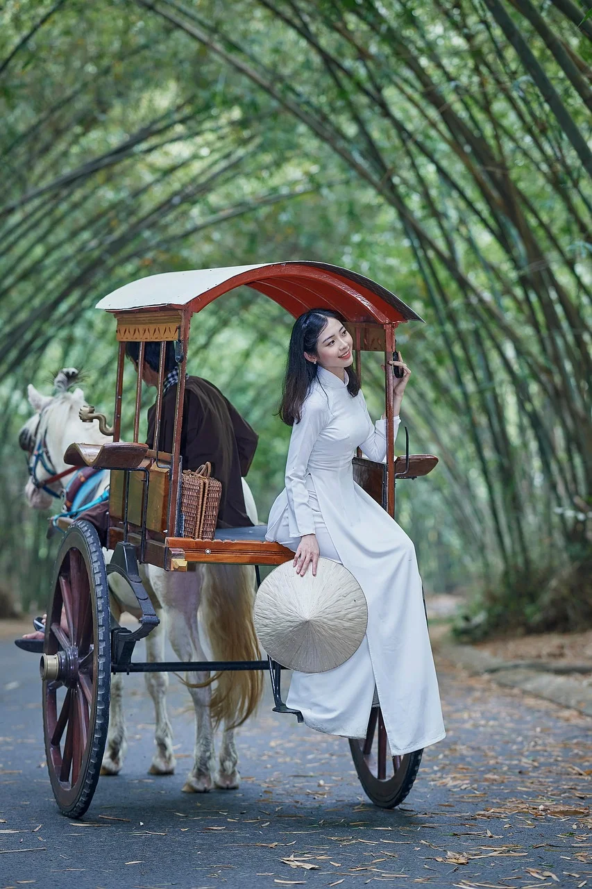 女人、模特兒、推車、觀光