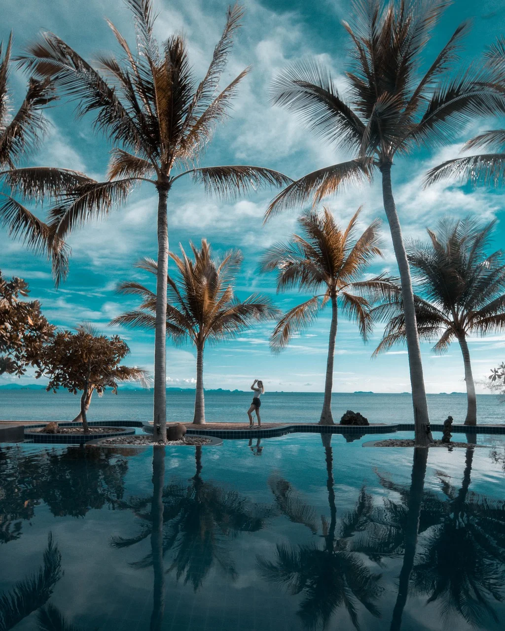 palm trees, heaven, beach, paradise