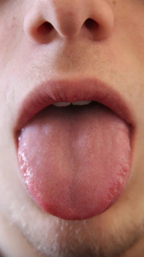 tongue, mouth, mammal, human