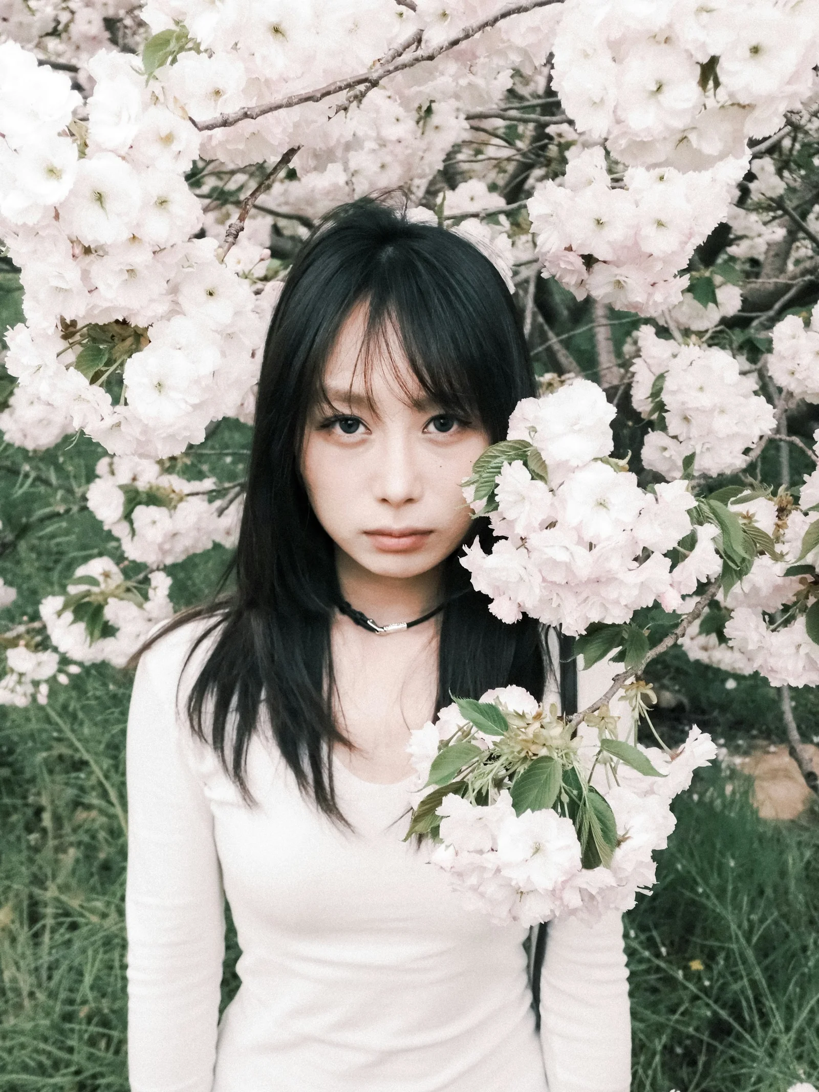 Young woman posing near blooming cherry blossoms