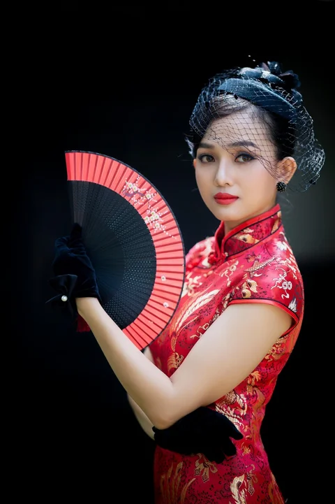 치파오, 패션, 여성, 베트남