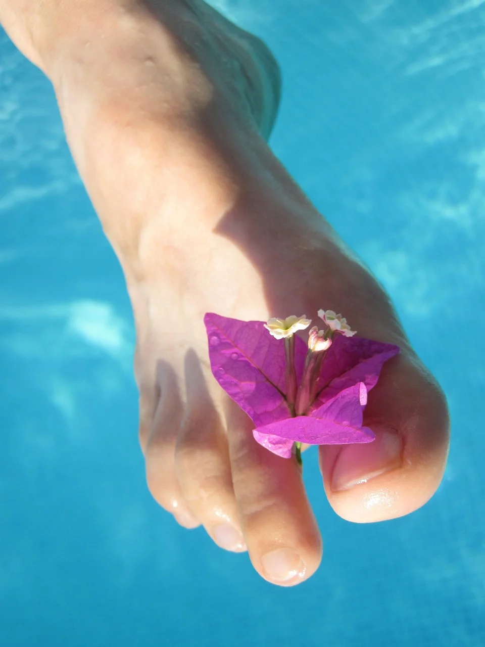 barefoot, blossom, care, female
