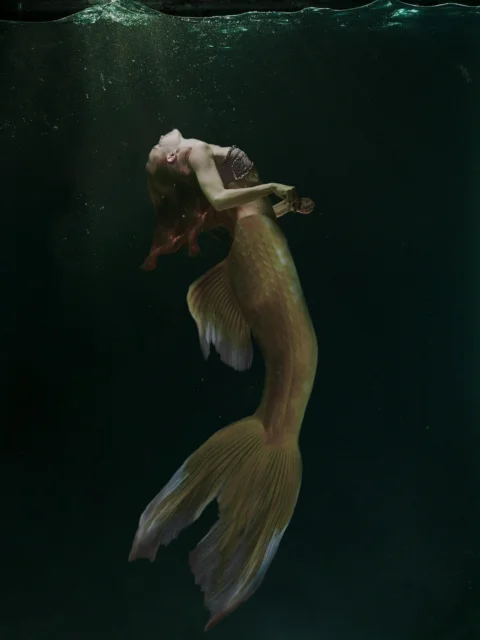 海妖, 魚, 美人魚, 幻想